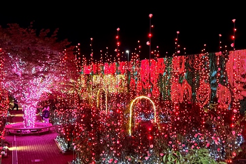 花の状況 | パーク便り | あしかがフラワーパーク